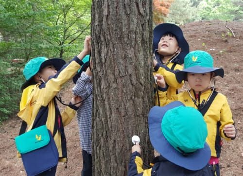 “숲이 말하는 이야기 듣고 힐링 해요” post image