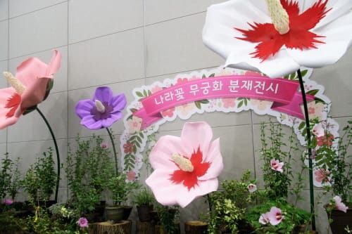 세종시, 8.15 맞아 의미있는 무궁화 축제 개최 post image