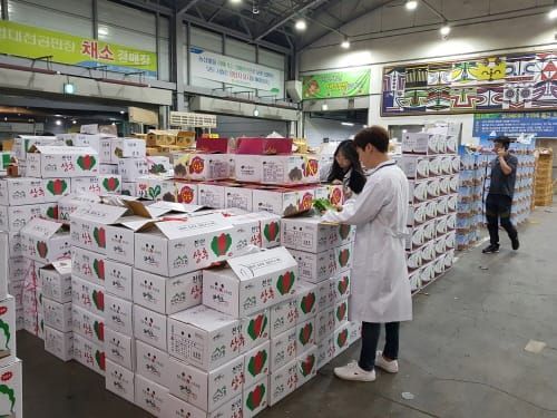 대전보건환경硏, 추석 전 다소비 농수산물 안전성 집중 검사 post image
