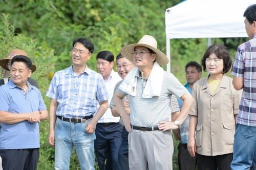 “세종시 첫 수확 고품질 햅쌀로 차례 지내요” post image