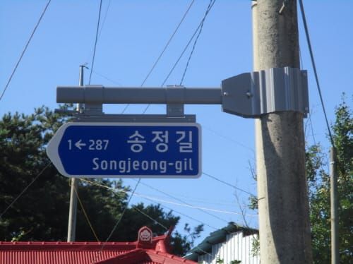 세종시, 보행자용 도로명판 300개 추가 설치! post image