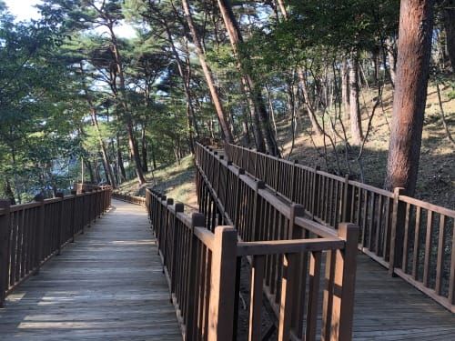안면도 자연휴양림 ‘무장애 나눔길’ 준공 post image