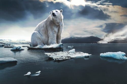 국제환경보전 W재단, 제25차 유엔기후변화협약 당사국총회(COP25) 초청연사 참석 post image