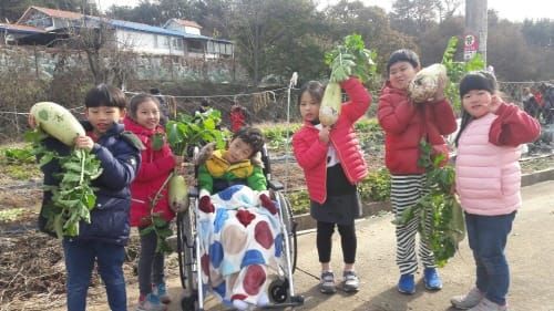 세종시 전원학교, 1년 간의 교육 농사 추수하다 post image