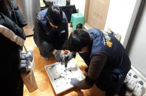 척척세종, 겨울방학 학생 자원봉사자 모집 post image
