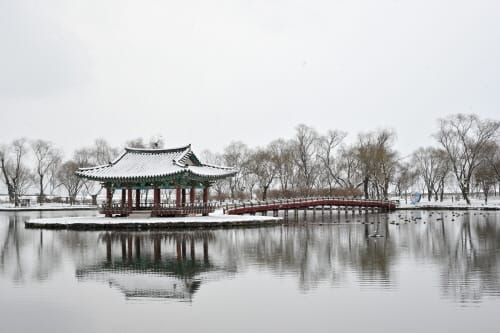 아름다운 설원의 궁남지 post image