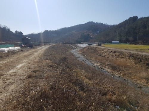 대전시, 용호천 생태하천 조성사업 추진 박차 post image