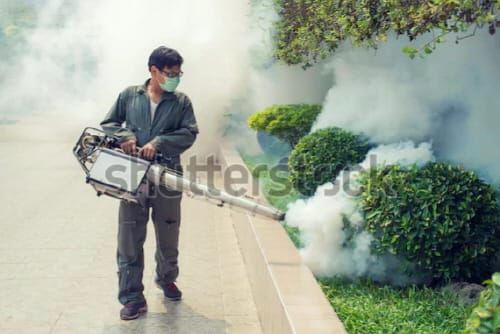 ‘청정 부여 비상... 코로나19 지역사회 전파 차단에 분주’ post image