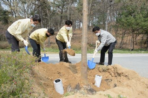 ‘시민감동과제 2호’ 봄철 가로수 3,500본 심는다 post image
