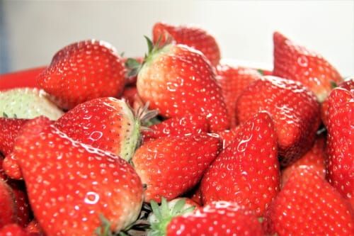 온라인 개학, 지역 농가 어려움 '농축산물 구매 운동’ post image