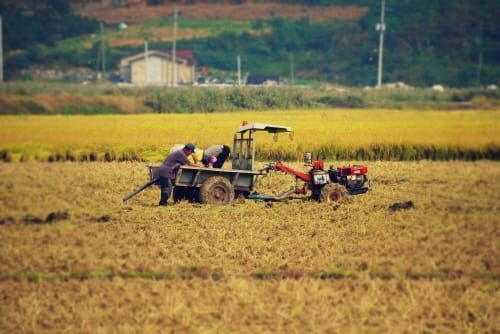 ‘신설 소농 직불금은 면적에 관계없이 120만원 지급’ post image