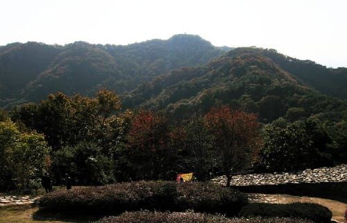 ‘보문산 활성화 시민토론회 ’온ㆍ오프라인 동시 진행 post image