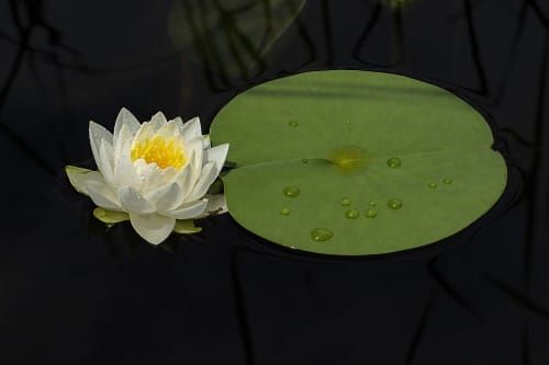 대박난 발명품 100가지 이야기 (78) post image