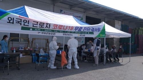 부여, 외국인 근로자 코로나19 무료진단 검사완료 post image