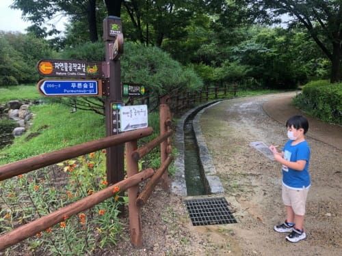 ‘게임하면서 꽃과 나무를 찾아요~’ post image
