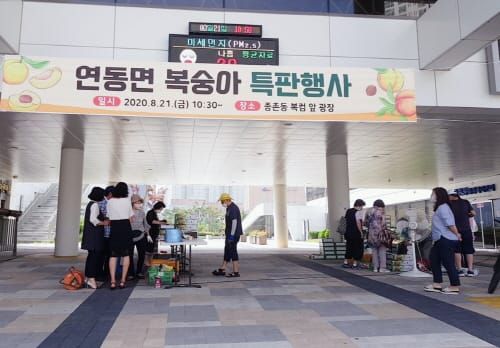 연동면, 종촌동 복컴에서 복숭아 특판행사 post image