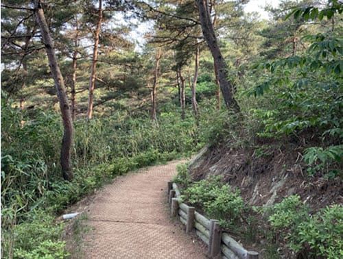‘숲길·걷는 길 정비’… 쾌적한 산행환경 조성 post image