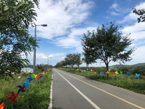 “바람개비 산책길, 도란도란 함께 걸어요” post image