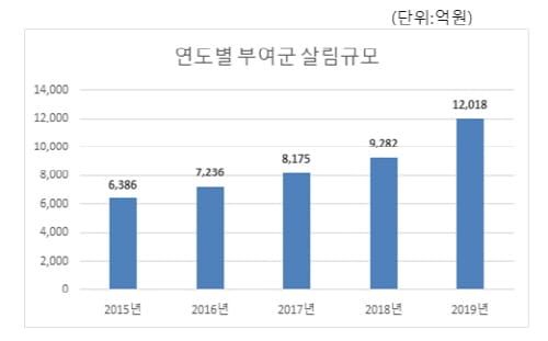 부여군, 2019년 살림규모 1조원 돌파 post image