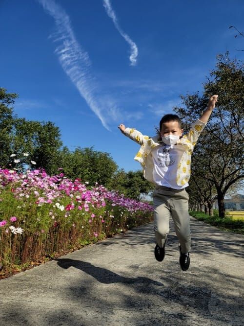 “곡교천 코스모스길 사진으로 즐겨요” post image