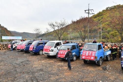 부여군, 산림분야 공공 일자리에 30억 투입한다 post image