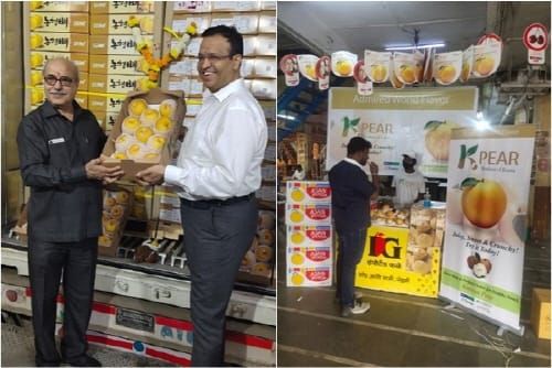 농식품 수출 사상 첫 5억 달러 돌파 post image