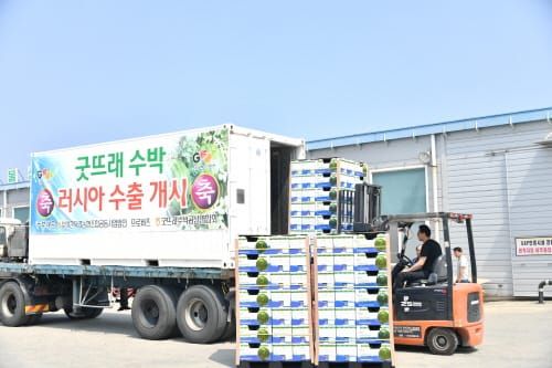 부여군, 충청남도 농식품 수출액 3년 연속 1위 달성 post image