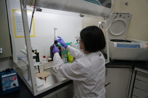 ‘농산물 잔류농약 분석능력’ 국제적 공인 받아 post image