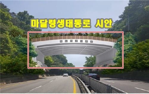 대전-옥천 경계구간 마달령생태통로 본격 착공 post image