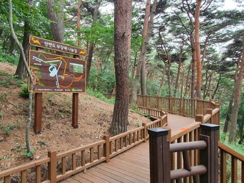 12개 자연휴양림에 139억 투입 새 단장 post image