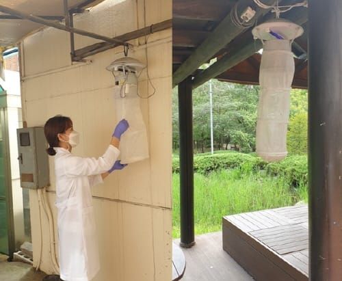 대전시, 기후변화대응 감염병 매개모기 감시 시작 post image