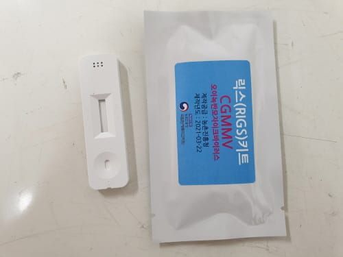 농작물바이러스, 진단키트로 잡는다 post image