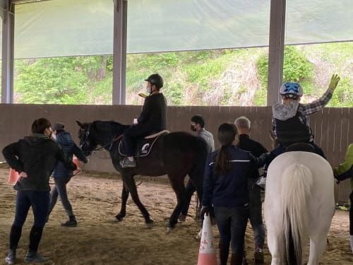 “말과 함께 달리면 행복해요!” post image