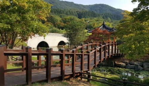 ‘백신 접종자= 휴양림 주차요금 면제’ post image