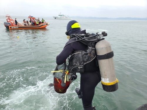 ‘금값’ 새조개, 육상 대량 양식 도전 post image