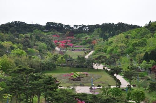 수목유전자원 보전·관리 수목원 보완사업 추진 post image