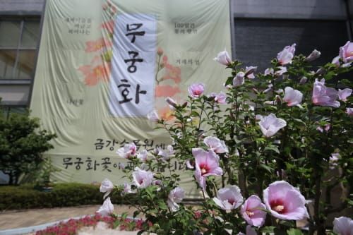 금강수목원 “무궁화 꽃이 피었습니다” post image