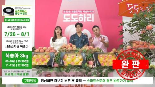 ‘완판 행진’ 조치원복숭아축제 post image