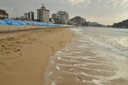 충남 해수욕장 풍선효과 대비 대책 강화 post image