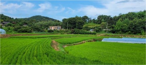 부여군 400년 된 산촌마을 ‘농경문화 소득화 모델 ’ 된다 post image