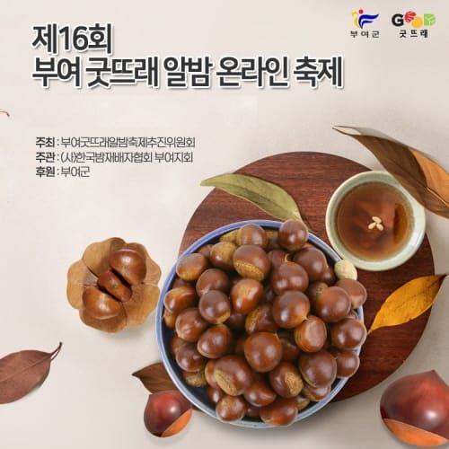 젊은 밤! 멋진 밤! 부여밤 온라인 축제 10일 개최 post image