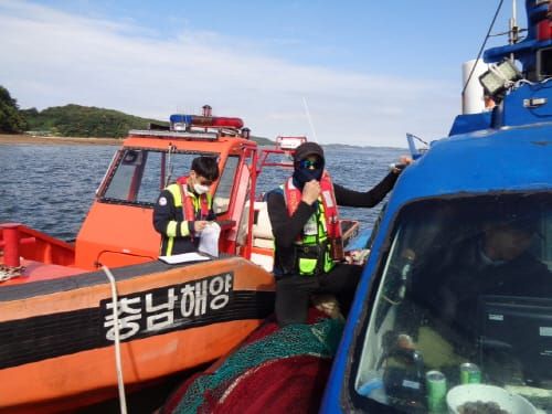 가을철 성육기 불법 어업 전국 합동 단속 post image