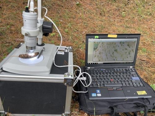 ‘나무 병해충 무료 진단·처방한다’ post image