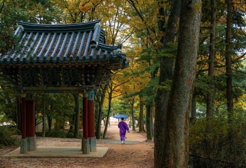 ‘지속가능한 공동체 해법 유교문화서 찾는다’ post image