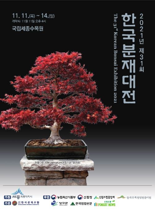 한국분재대전에서 대자연을 만끽하세요 post image