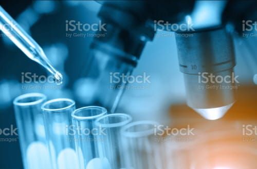 세종시 산·학·연·병, 상생·협력의 장 열려 post image