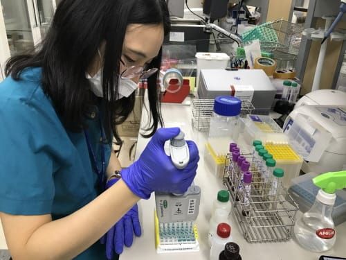 대전보건환경연구원, 구제역 백신항체 모니터링 검사 post image
