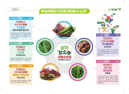 부여군, 라이브커머스로 온라인 판매 확대 post image
