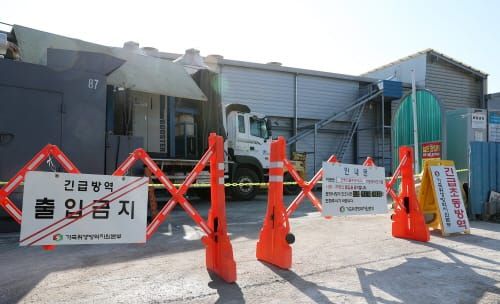 양승조 지사, 고병원성AI 방역현장 찾아 ‘총력대응’ 주문 post image