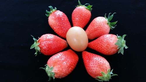 독특한 향, 새로운 맛 신품종 딸기 맛보세요 post image